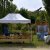 Le Bancarelle